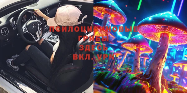 ALPHA PVP Алексеевка