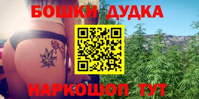 каннабис Новозыбков
