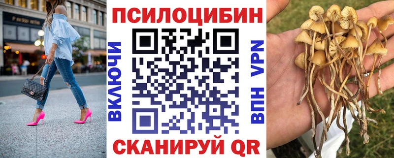 как найти   Лобня  кракен ТОР  darknet как зайти  Галлюциногенные грибы мицелий 