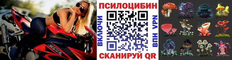 Галлюциногенные грибы мицелий Лобня