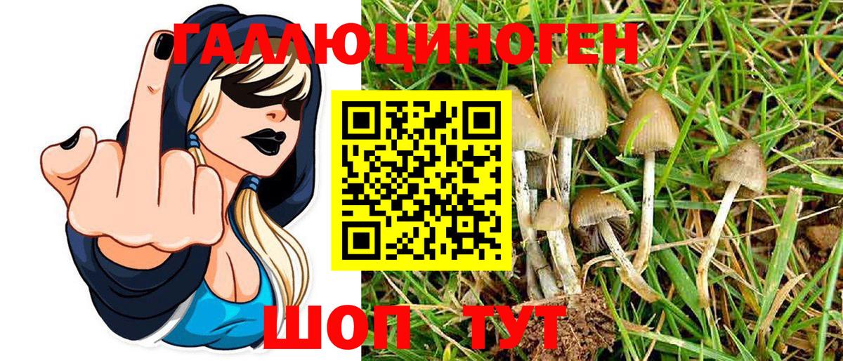 Псилоцибиновые грибы MAGIC MUSHROOMS Лобня